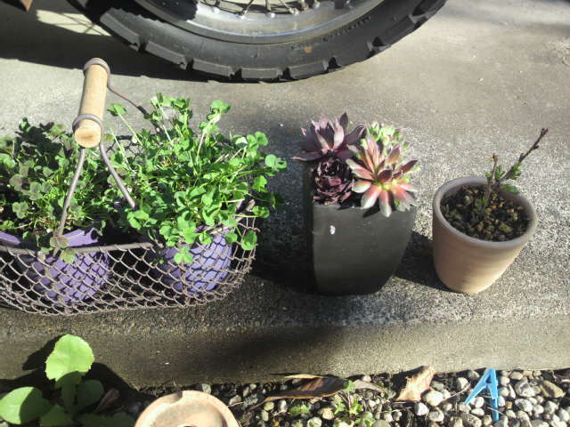 2011042007190000.jpg