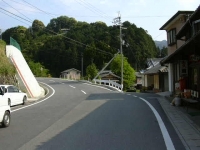 コスモのとこ