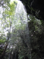 裏見の滝