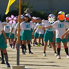 IMG_20181029_002330.jpg