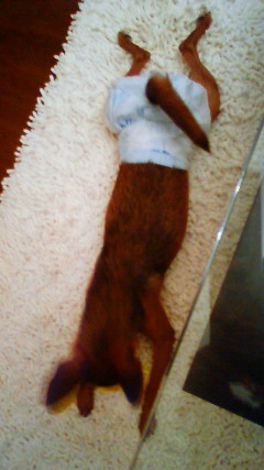 200808070113000.jpg