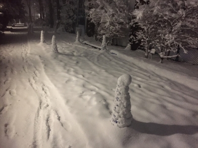 2018年1月22日の雪