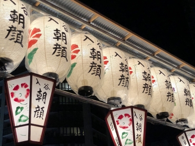 入谷朝顔市の提灯