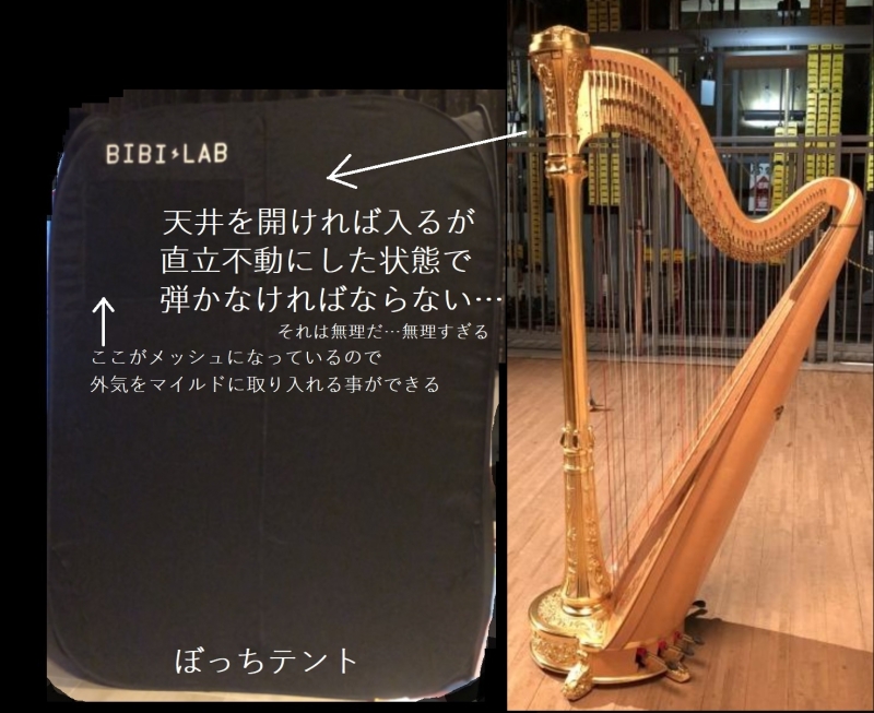 ぼっちテントとハープ♪