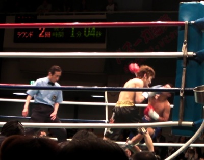 iwasa2