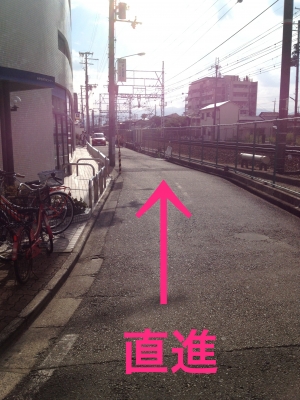 117.JPG