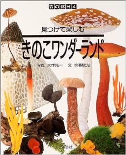 ワンダーランド
