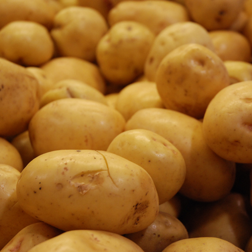 potato