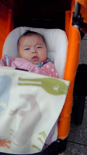 201103311056000.jpg