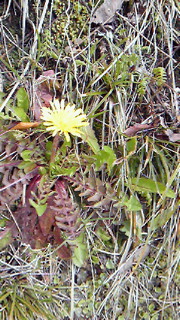 201103311057000.jpg