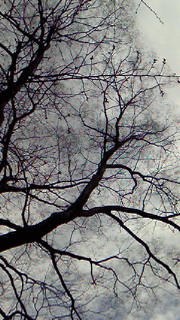 201103311054000.jpg