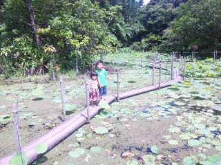 110520_104323111.jpg