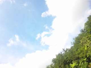 110520_1041411.jpg