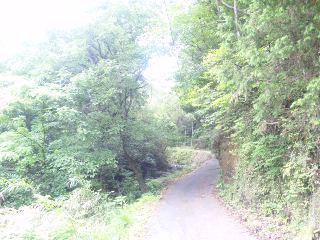 110526_10324411.jpg