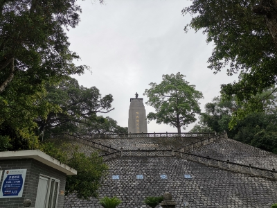 IMG_20190504_125731.jpg