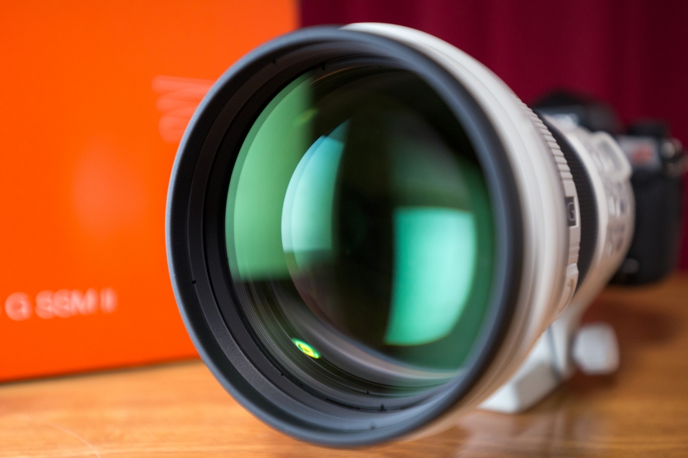 SONY 300mm F2.8 G SSM II SAL300F28G2 | 「α」 と散歩 SONY 300mm F2.8 G SSM II SAL300F28G2 | 「α」 と散歩