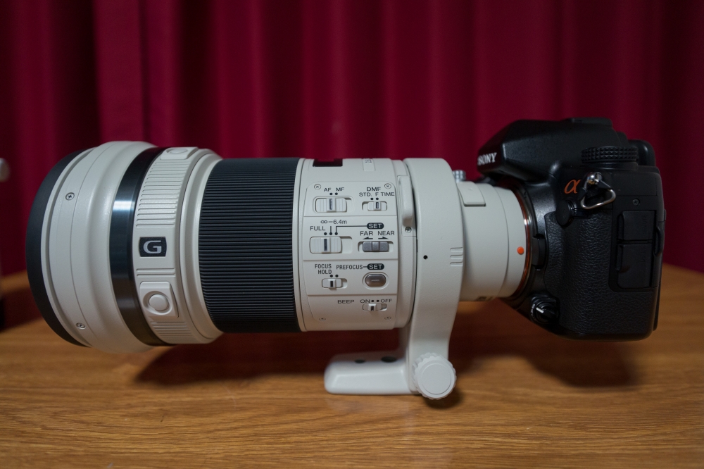 SONY 300mm F2.8 G SSM II SAL300F28G2 | 「α」 と散歩