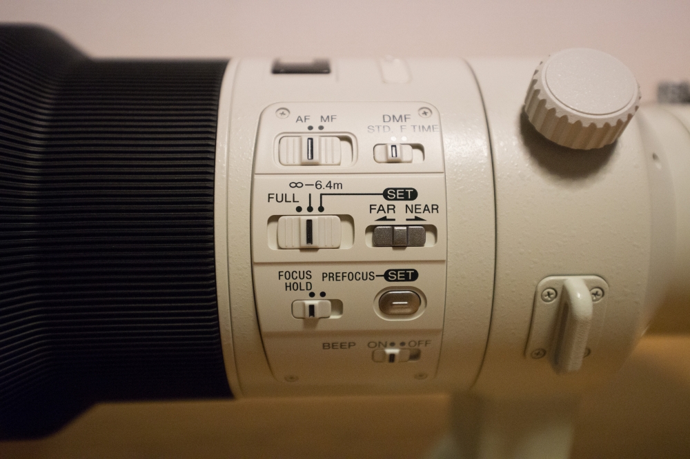 SONY 500mm F4 G SSM SAL500F40G | 「α」 と散歩