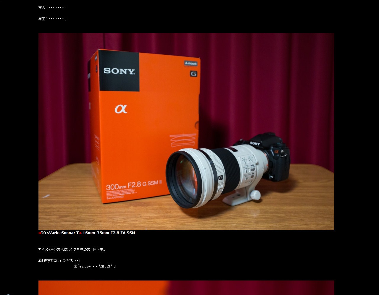 SONY 500mm F4 G SSM SAL500F40G | 「α」 と散歩