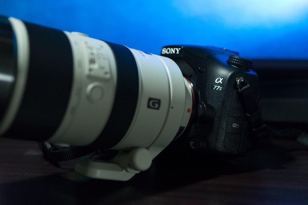 SONY 70-400mm F4-5.6 G SSMII SAL70400G2 | 「α」 と散歩