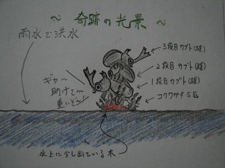 奇跡の光景