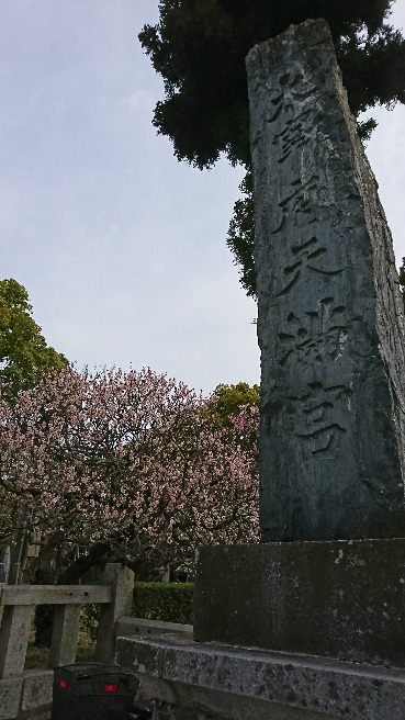 DSC_1479.JPG