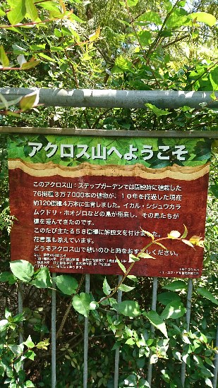 DSC_2244.JPG