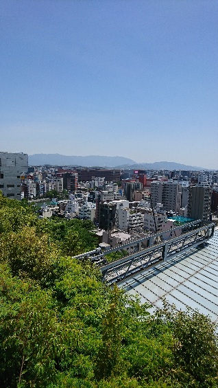DSC_2247.JPG