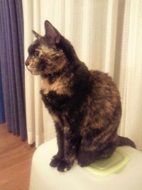 2010101423090000.jpg