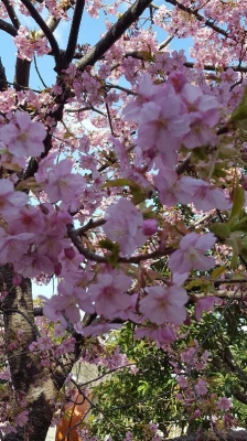 20180304_103158.jpg