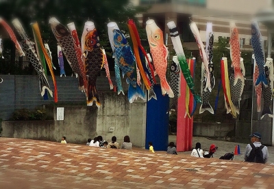 image1.JPG