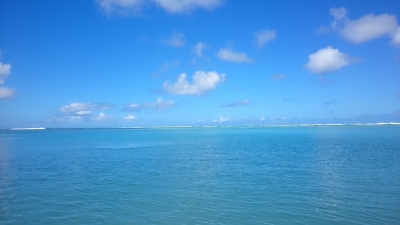 DSC_0128.JPG
