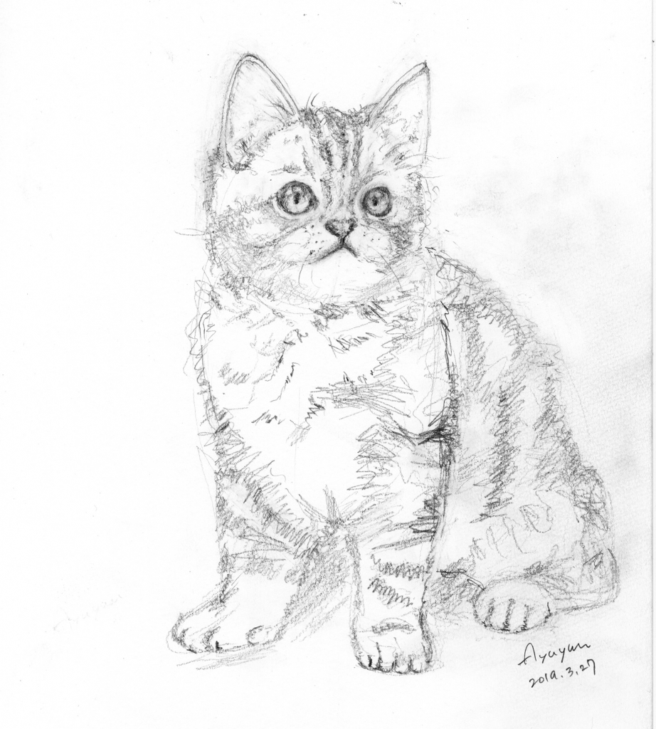 猫を描く 鉛筆デッサン編」スケッチ画教室 | 和のイラストレーター鮎裕 