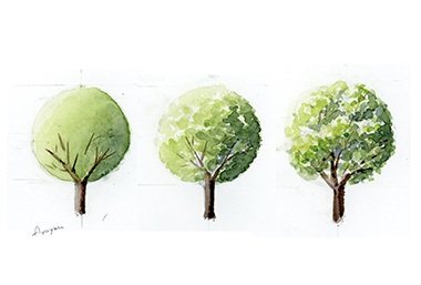 水彩画 樹木 を描く 和のイラストレーター鮎裕 あゆゆう のブログ