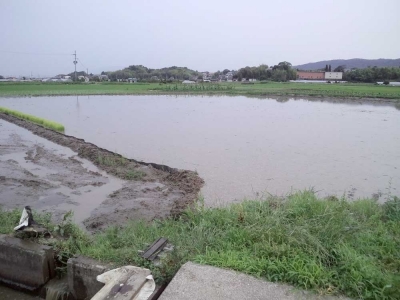代掻き