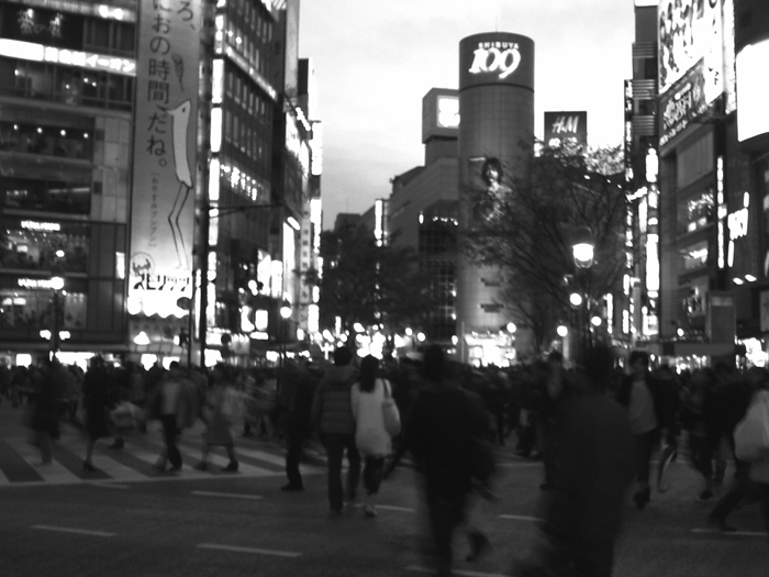 (c)taddy_shibuya