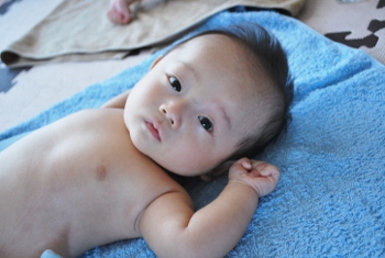 DSC_0042 - コピー (350x235).jpg