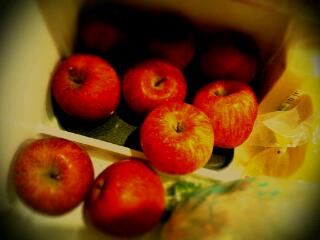 20111230_220042.jpg