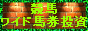 競馬ワイド馬券投資