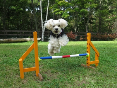 20121013_244750.jpg