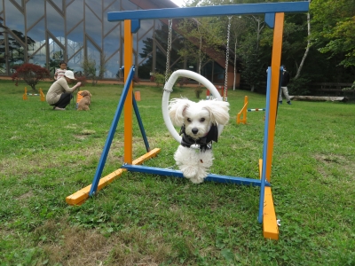 20121013_244758.jpg