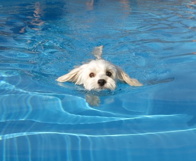 20130828_799743.jpg