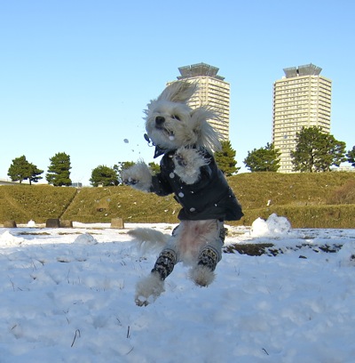 20140209_996710.jpg