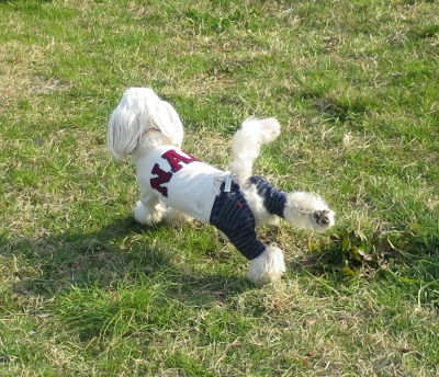 20140325_1039015.jpg