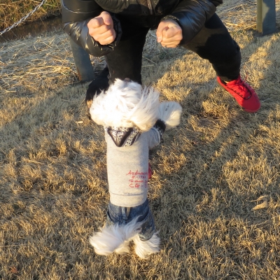 20150117_1302995.jpg