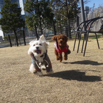 20150214_1323843.jpg