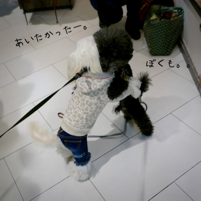 AHBrvjGK.png