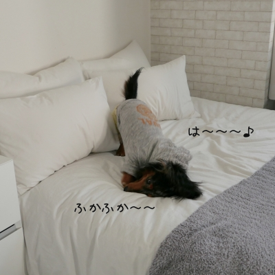 3WB9tkxM.png