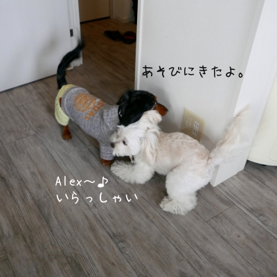 rKV0J9EP.png