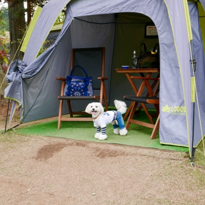 P1560442.jpg